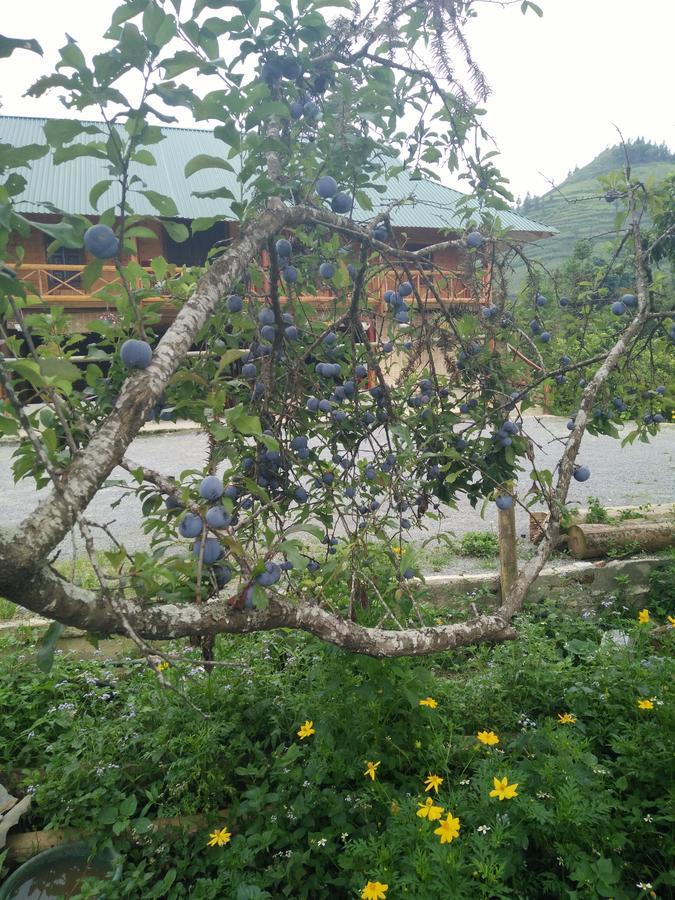 Flower Hmong Homestay Бакха Экстерьер фото