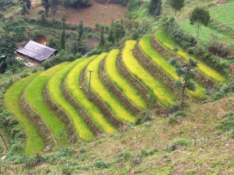 Flower Hmong Homestay Бакха Экстерьер фото
