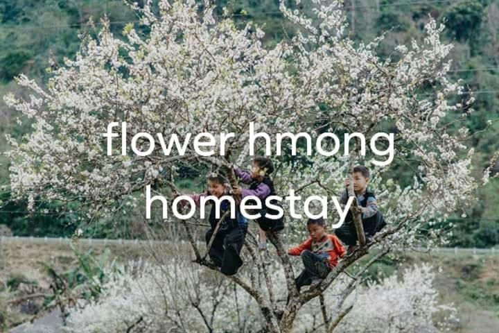 Flower Hmong Homestay Бакха Экстерьер фото