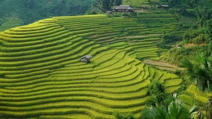 Flower Hmong Homestay Бакха Экстерьер фото